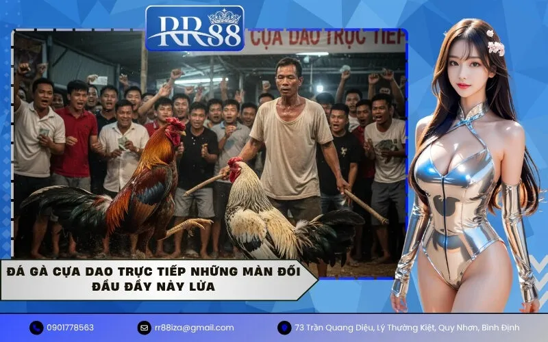 Đá gà cựa dao trực tiếp những màn đối đầu đầy nảy lửa