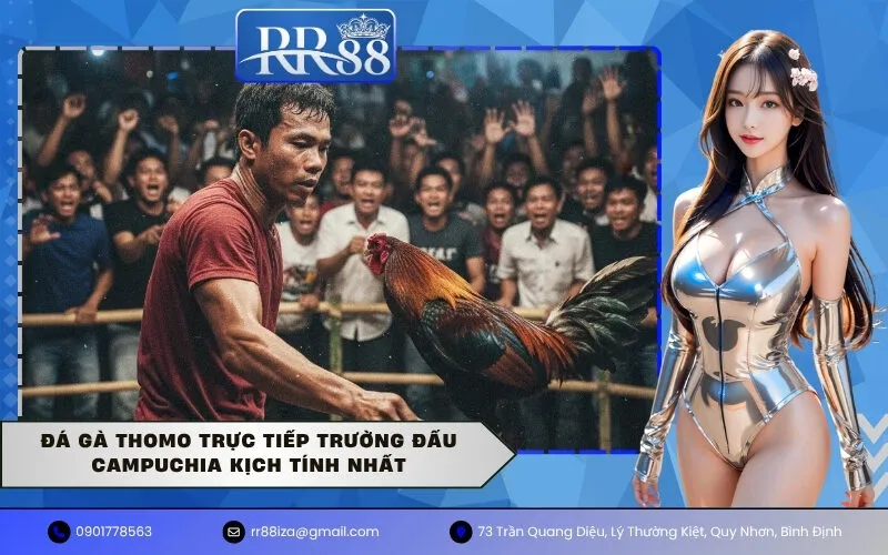 Đá gà Thomo trực tiếp trường đấu Campuchia kịch tính nhất