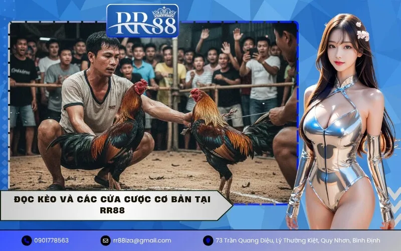 Đọc Kèo Và Các Cửa Cược Cơ Bản Tại rr88