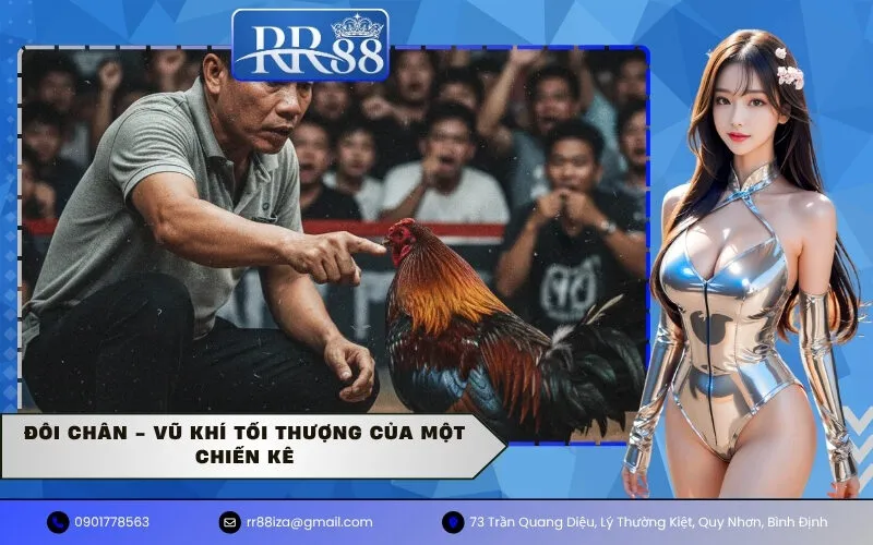 Đôi chân - Vũ khí tối thượng của một chiến kê