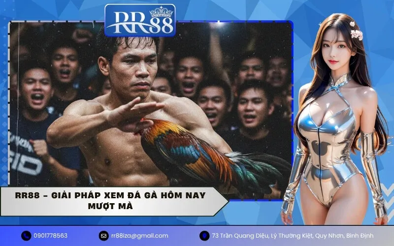 RR88 - Giải pháp xem đá gà hôm nay mượt mà