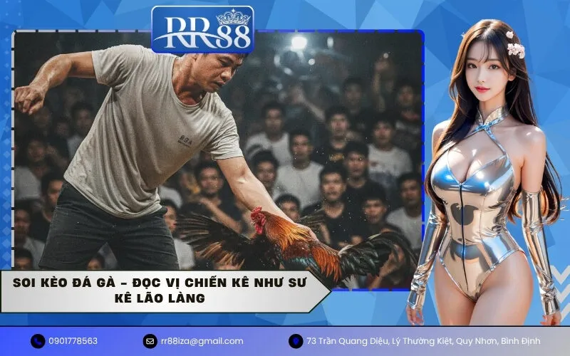 Soi Kèo Đá Gà - Đọc Vị Chiến Kê Như Sư Kê Lão Làng